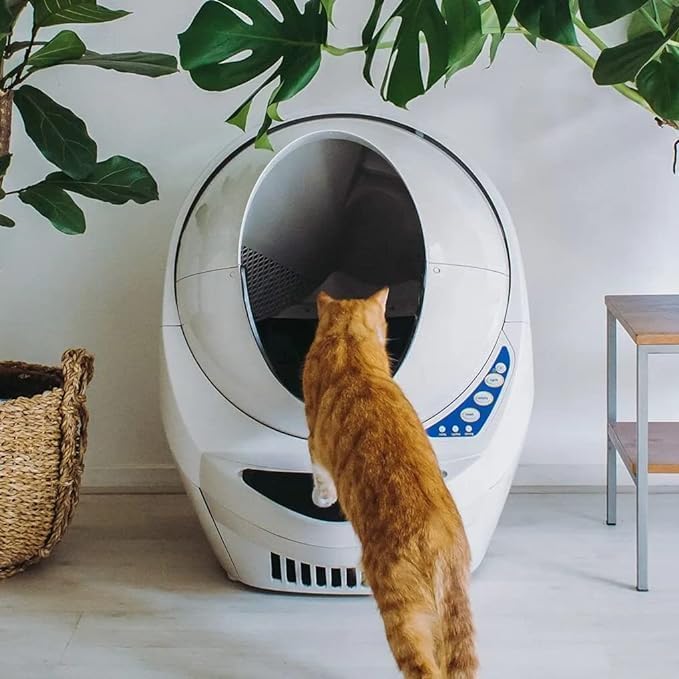 Whisker Litter-Robot 3