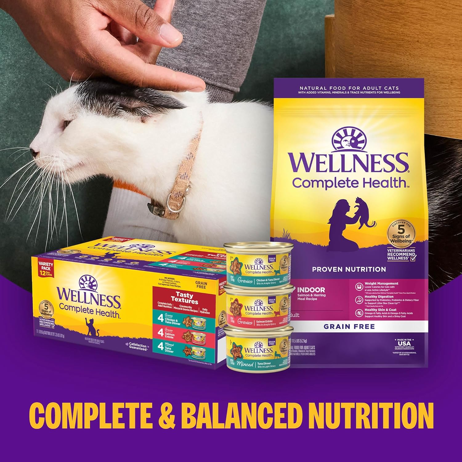 Wellness Complete Health cat wet food